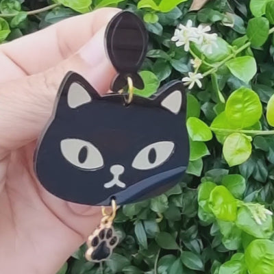 🐾Patas Negras😻