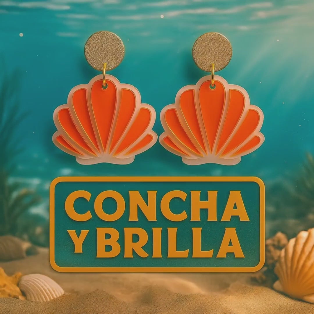 🐚Concha y Brilla💎