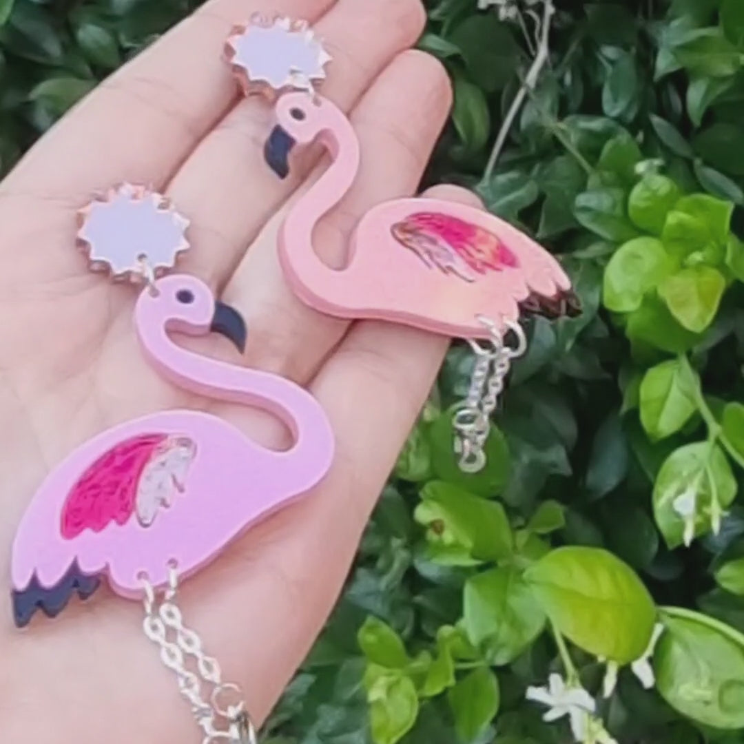 🦩Pataslargas del Caribe🌴