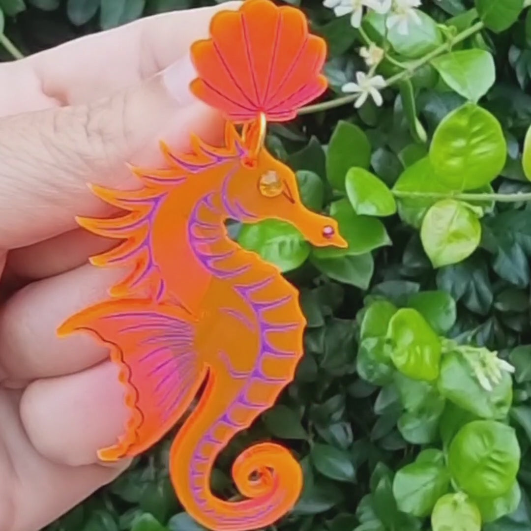 🌊Hipocampus Amorosos💗