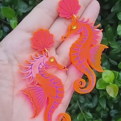 🌊Hipocampus Amorosos💗